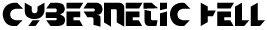 CYBERNETIC HELL